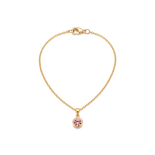 Birthstone Pendant Necklace, gold, January - Red